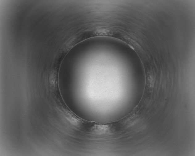 X0000073510665200607311320
