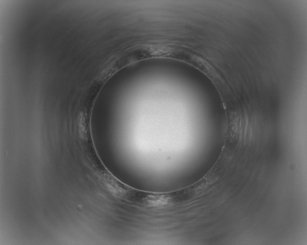 X0000073510667200607311320
