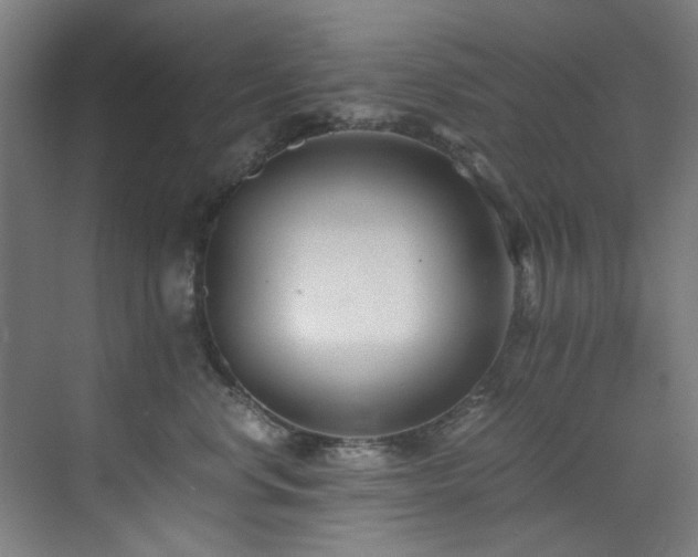 X0000073510668200607311320