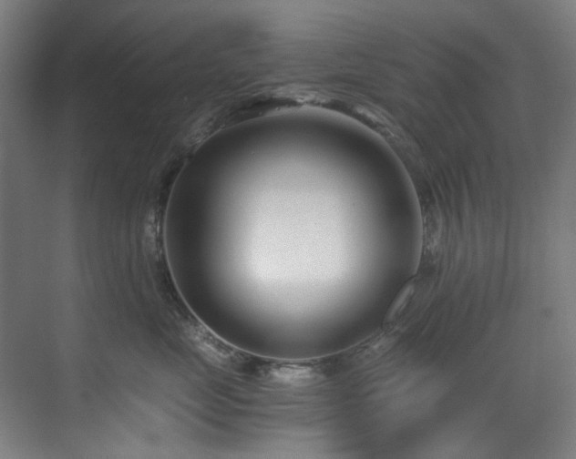 X0000073510669200607311320