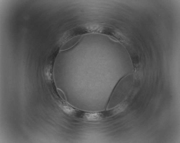 X0000073510671200607311320