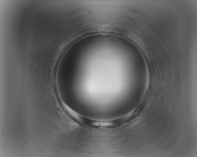 X0000073510673200607311319