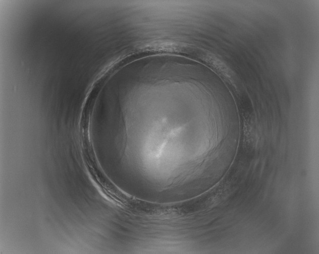 X0000073510674200607311319