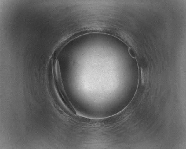 X0000073510675200607311319