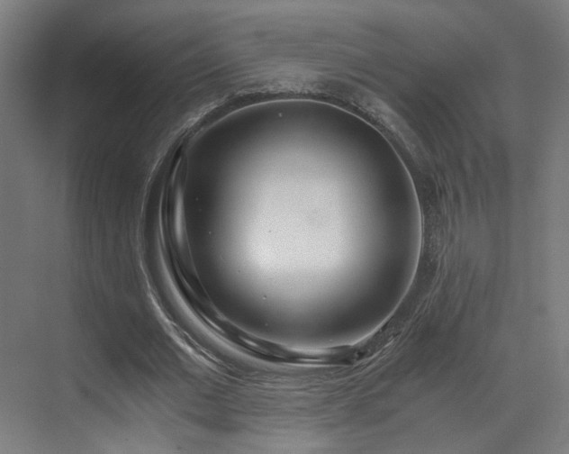 X0000073510677200607311319