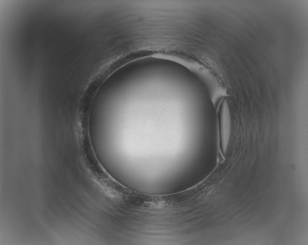 X0000073510688200607311319