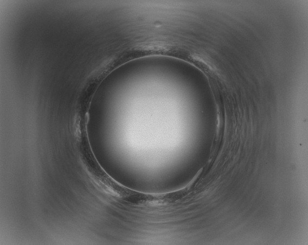 X0000073510692200607311319