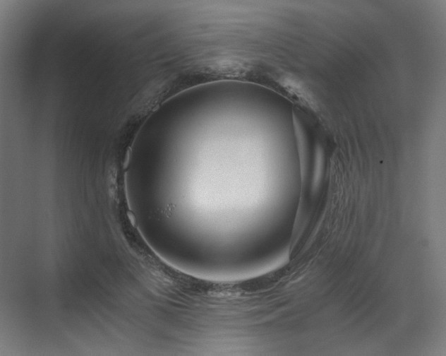 X0000073510693200607311319