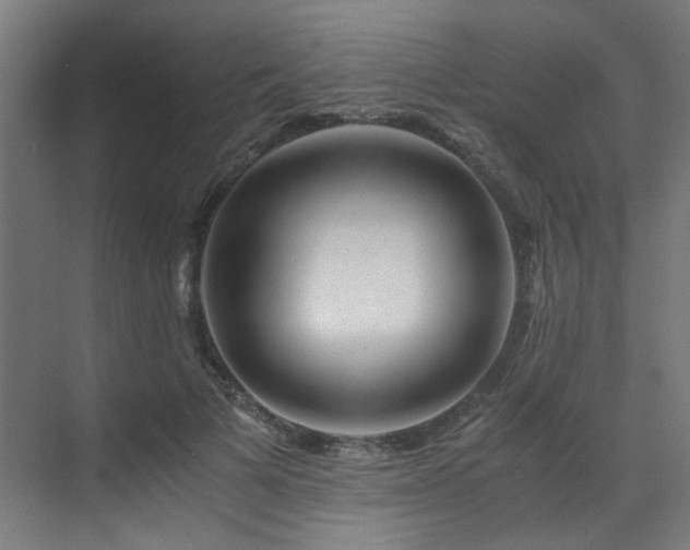 X0000073510697200607311319