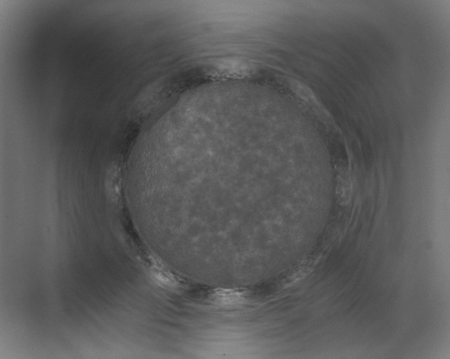 X0000073510701200607311319