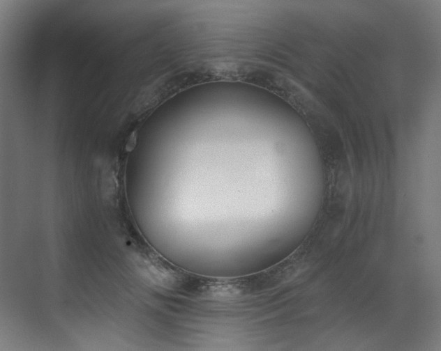 X0000073510702200607311319