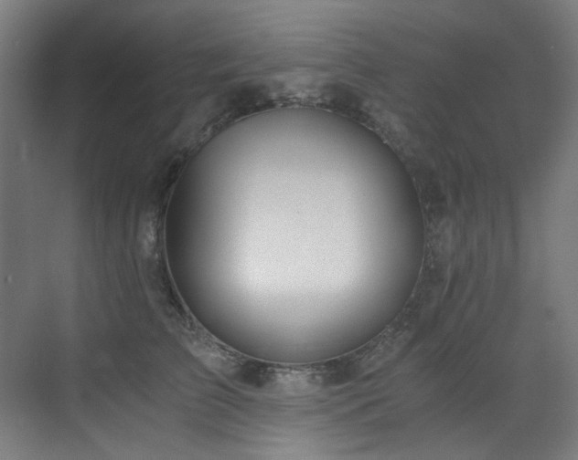 X0000073510709200607311319
