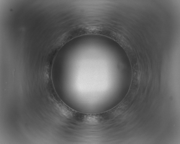 X0000073510710200607311319
