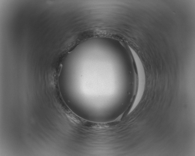 X0000073510712200607311318