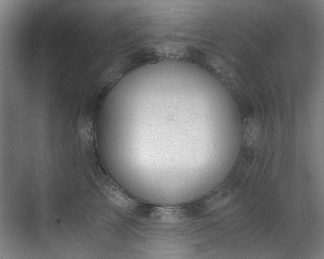 X0000073510713200607311318