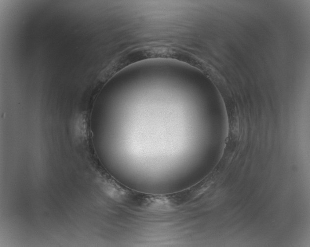 X0000073510715200607311318
