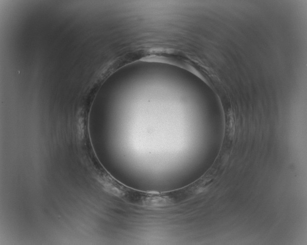 X0000073510716200607311318