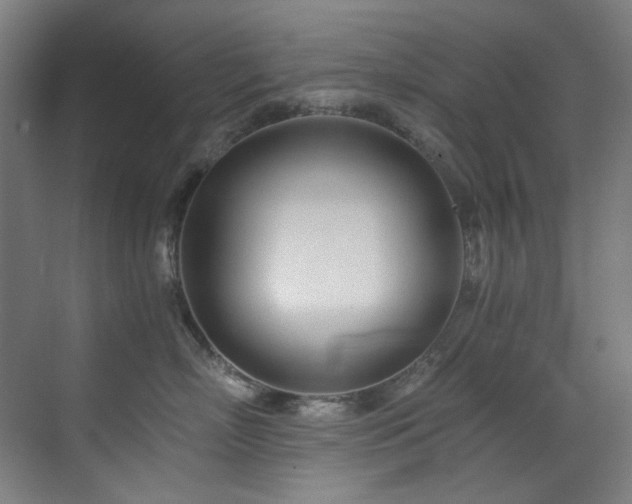 X0000073510718200607311318