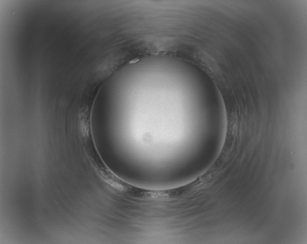 X0000073510719200607311318