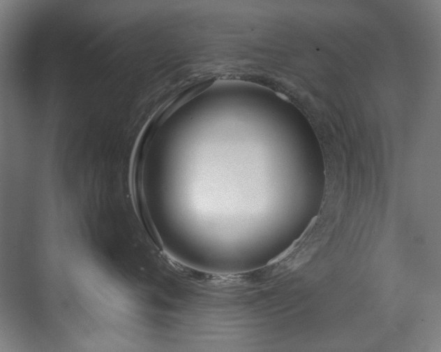 X0000073510720200607311318