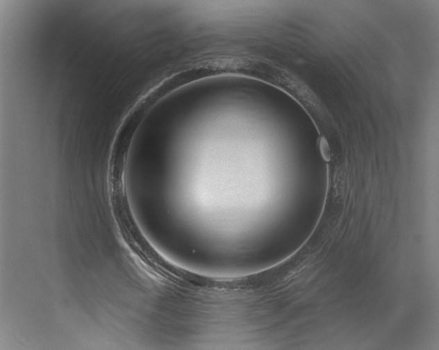 X0000073510722200607311318
