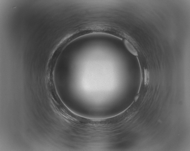 X0000073510723200607311318