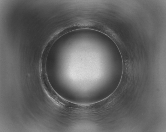 X0000073510726200607311318