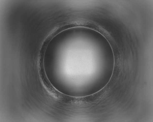 X0000073510730200607311318