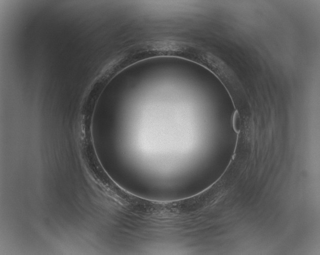 X0000073510731200607311318