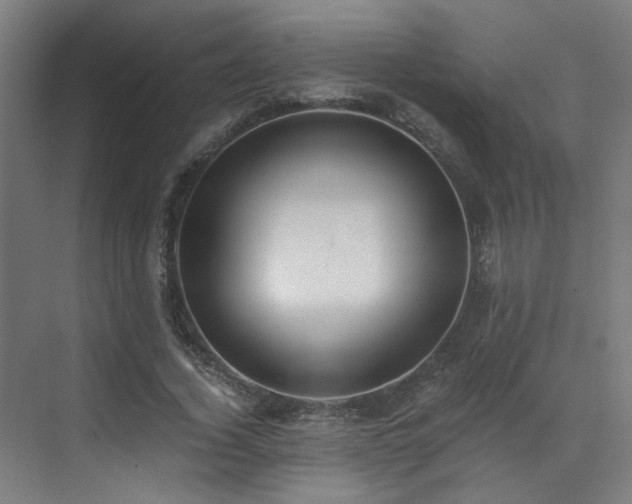 X0000073510732200607311318
