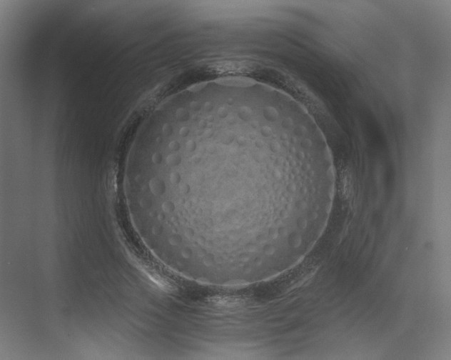 X0000073510733200607311318