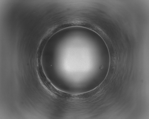 X0000073510734200607311318
