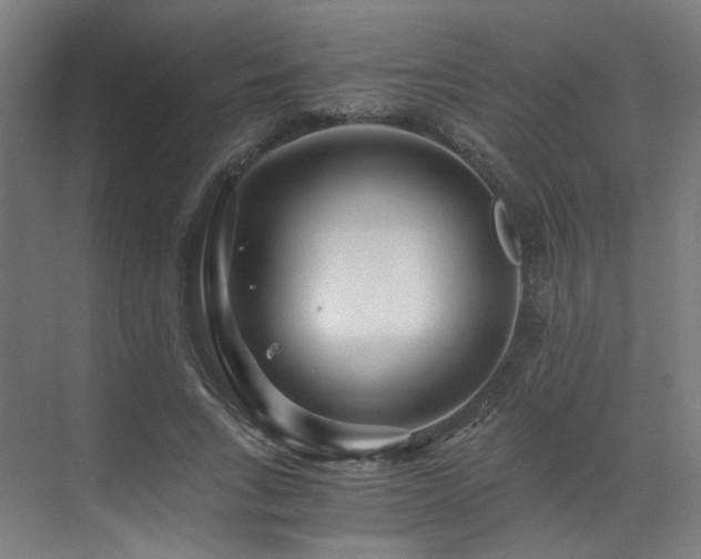 X0000073510735200607311318