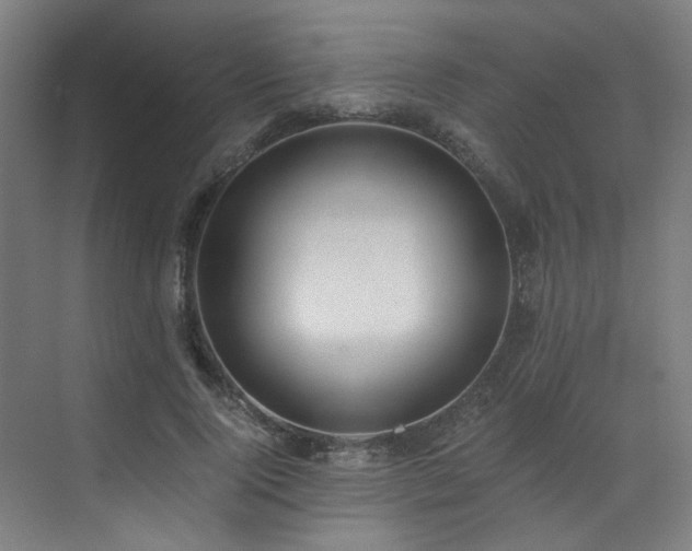 X0000073510740200607311318