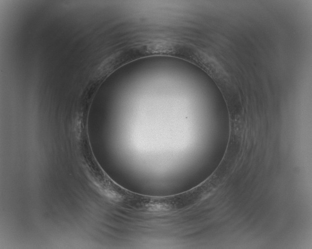 X0000073510741200607311318