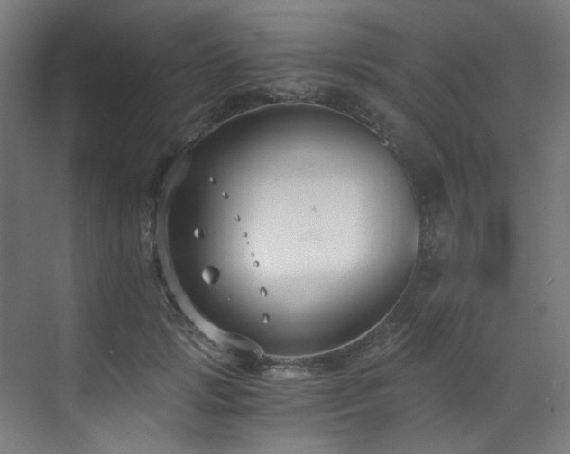 X0000073510749200607311318