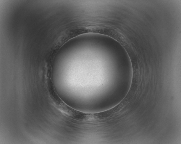 X0000073510750200607311318