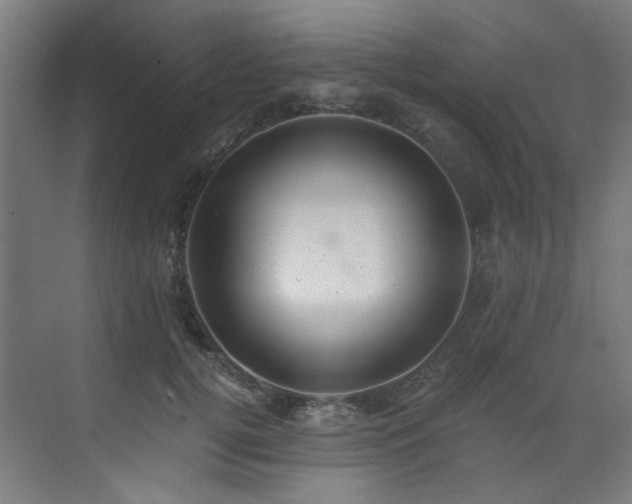 X0000073510752200607311318