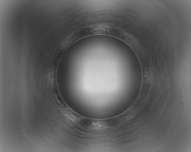 X0000073510753200607311318
