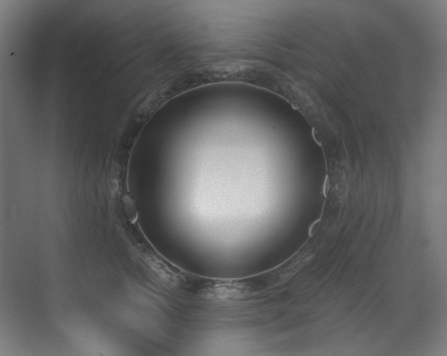 X0000073510758200607311318