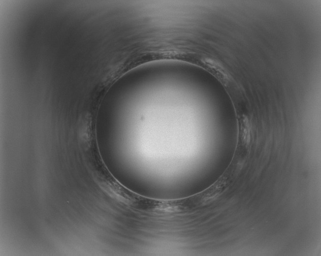 X0000073510760200607311318