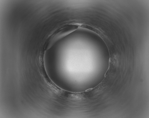 X0000073510763200607311318