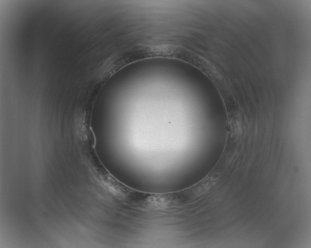 X0000073510764200607311318