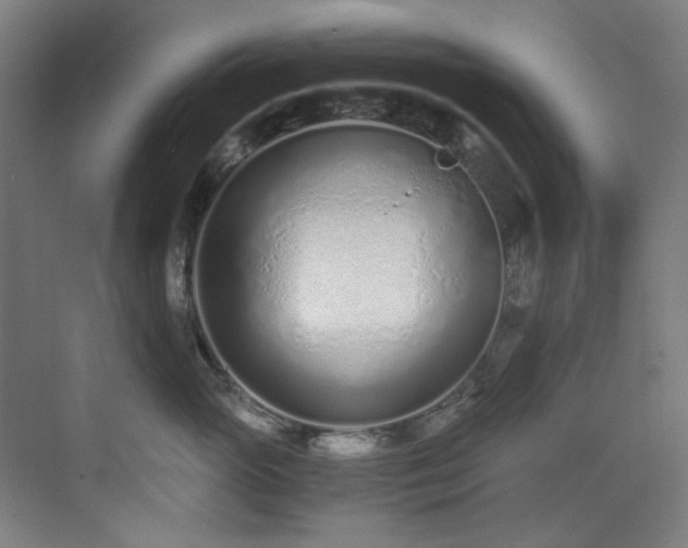 X0000073510765200607311318