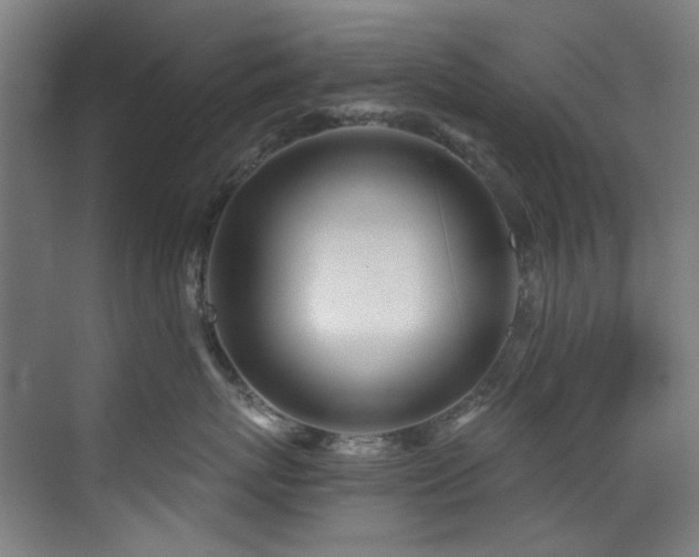 X0000073510767200607311318