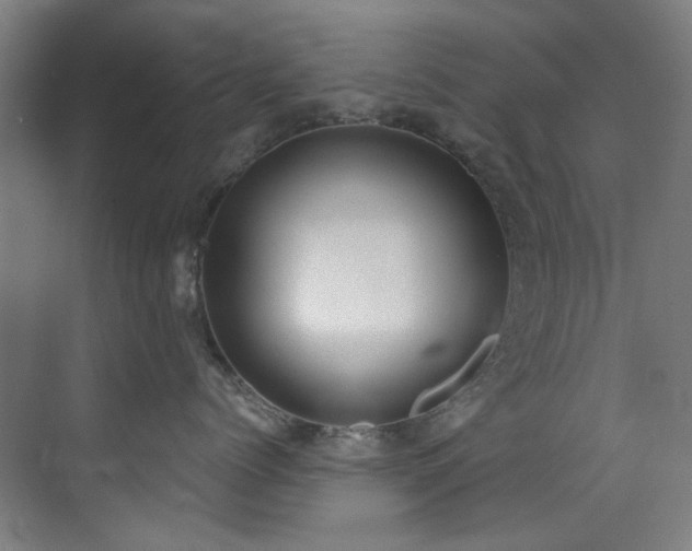 X0000073510768200607311318