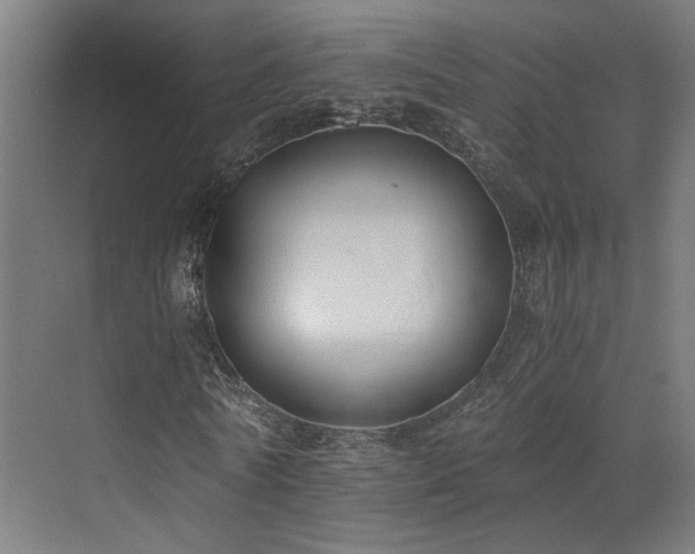 X0000073510770200607311318