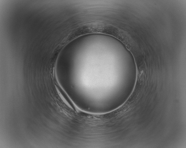 X0000073510772200607311317