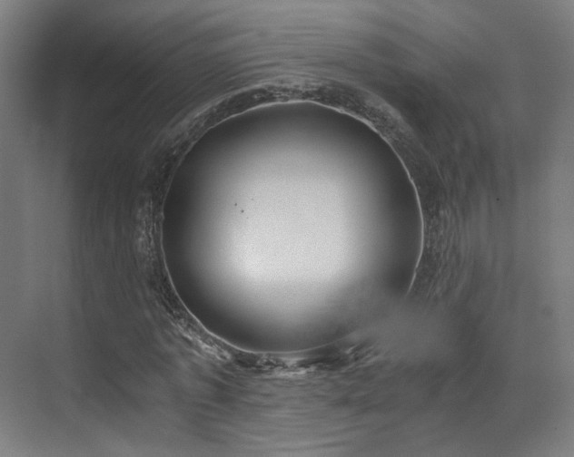 X0000073510773200607311317