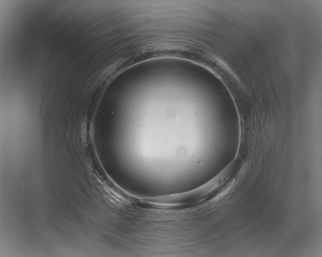 X0000073510777200607311317
